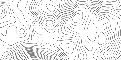 Abstract topographic contours map background, Vector contour topographic map background. Topography and geography map grid abstract backdrop, Modern design with White background.