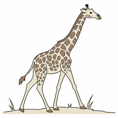 Naklejka premium giraffe isolated on white