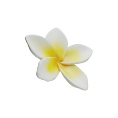 3d render Plumeria tropical flowers vector of exotic flowering plants 3. Realistic blossom of Hawaiian frangipani petals. Thailand and Bali national symbol in clay style. Amazing Asian vacation