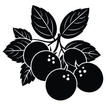 black fruit branch with leaves clip art preview