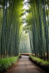 Fototapeta premium arafed view of a path through a bamboo forest with tall green trees
