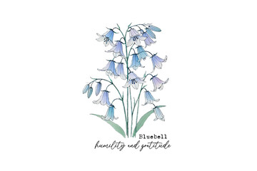 Bluebell humility gratitude, Hand-Drawn Wildflower PNG Sublimation Design