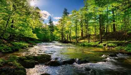 Obraz premium Clear waters flow through a lush, green forest, radiating vibrant spring vibes.