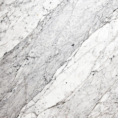 Obraz premium White Marble Slab with Gray and Black Veining