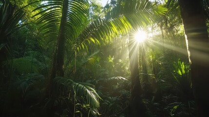 Naklejka premium Sunbeams Illuminate Lush Tropical Rainforest Canopy
