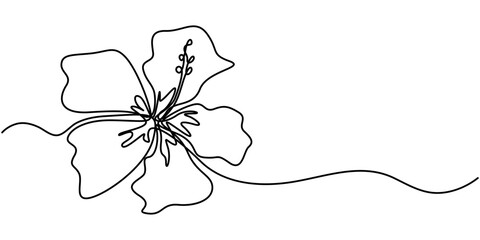 Hibiscus Flower Continuous Line Drawing  with Editable Stroke, Continuous one line drawing of beauty fresh hibiscus for park garden logo identity. Printable poster rose mallow flower concept for home 