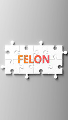 Felon complex like a puzzle - pictured as word felon on a puzzle pieces to show that felon is complex and needs cooperating pieces that fit together. ,3d illustration