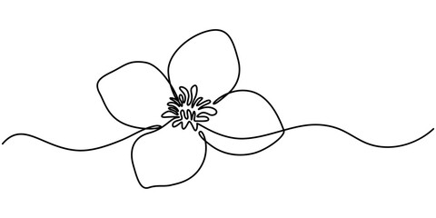 Continuous one line art drawing of beauty jasmine flower, One continuous line drawing of Plumeria flower. Frangipani blossom with petals for floral tattoo in simple linear style. Plant jasmine. 