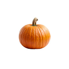 Obraz premium Autumn's Golden Orb: A single, ripe pumpkin, a symbol of harvest bounty, stands ready, its deep orange skin illuminated to showcase its freshness.