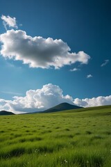 there is a field of grass with a mountain in the background