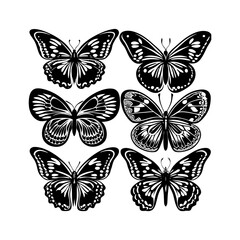 Fototapeta premium butterfly icons