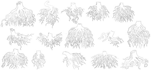 set tree roots line cad, minimal isolated on white background
