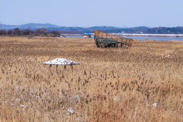 snow-covered gazebo and observatory in the reed field at the riverside