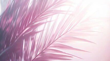 A detailed close-up of a lush palm leaf contrasted against a soft pink background, showcasing the intricate textures and vibrant colors of nature.