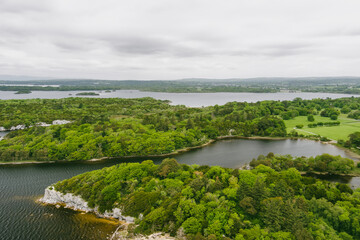 Aerial view of large pine trees on a banks of Muckross Lake, also called Middle Lake or The Torc, located in Killarney National Park, County Kerry, Ireland