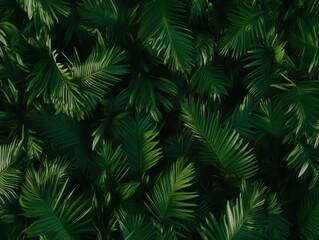 A lush, green backdrop of tropical palm leaves fills the frame, showcasing vibrant textures and shades of green.