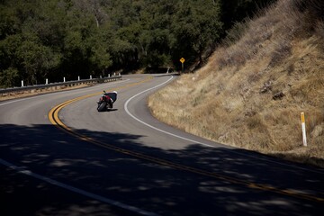 motorcycle rider disappearing into the forest