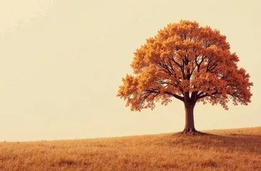 Fleecedeken met foto Beautiful abstract landscape with a lonely unusual tree among the plain in autumn in orange © Olga