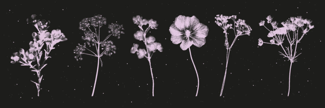 Collection of colors for collages with a retro-style photocopy texture. The effect of grain and dotted lines. Vector.