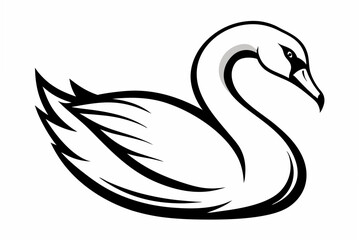 black swan vector