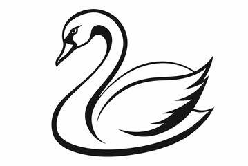 black swan vector