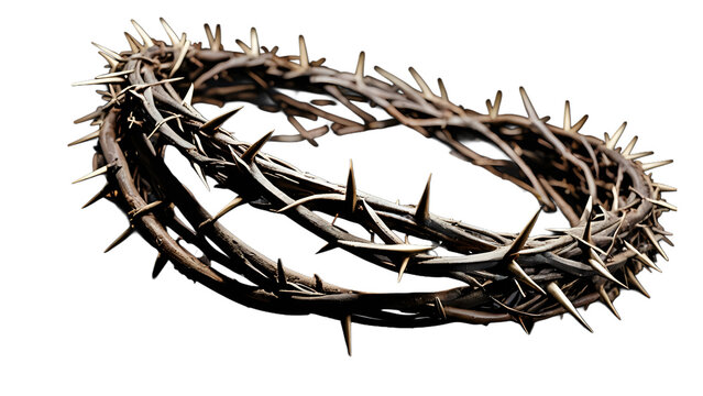 Crown of thorns Jesus Christ isolaten on white