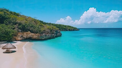 Aerial serenity bali beach retreat