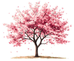 PNG Cherry Blossom Trees blossom illustration watercolor.