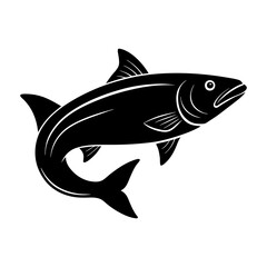 salmon on white background