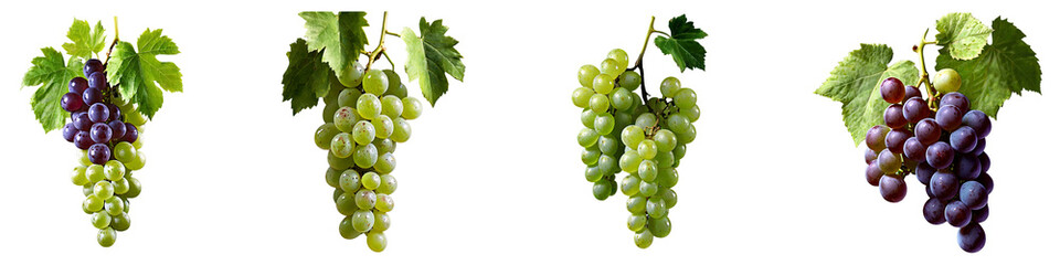 Fototapeta premium Green and Red Grapes with Leaves – Fruit Set on White
