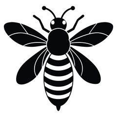 bee on a flower vector illustration.