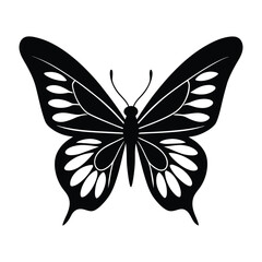 butterfly on white background vector illustration.
