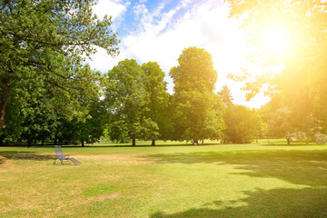 Fototapeta premium Recreation area covered with green grass in beautiful park.