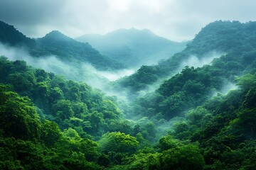 Misty Mountains Enveloped In Lush Green Forest