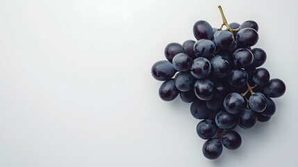 Fototapeta premium Fresh Black Grapes on a Light Background with Soft Shadows and Highlights