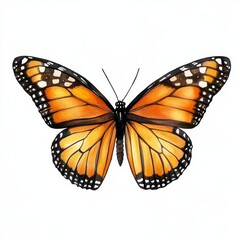 Orange Butterfly Halloween Monarch Butterfly