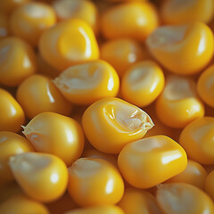 Fototapeta premium Close-Up View of Shiny Fresh Corn Kernels in Warm Light