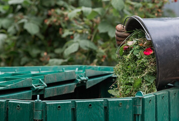 A woman works in the backyard and collects grass after working the lawn mower in a compost bin. The...