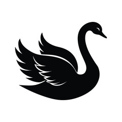 black swan vector illustration