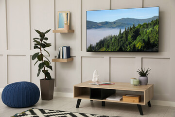 TV set with nature landscape on screen in room