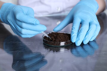 Laboratory testing. Scientist working with soil sample at table, closeup