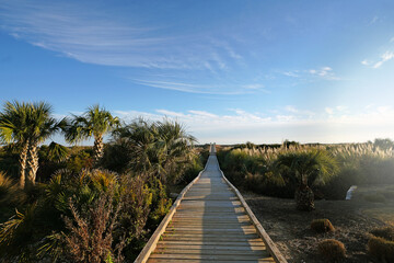 Fototapeta premium Wooden walkway leading to the ocean in Sunset Beach, Brunswick County North Carolina