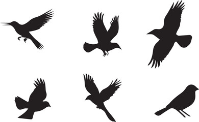 Collection of bird silhouettes in various poses, flying, perching, and standing postures of different species shown as black shapes, isolated on blank transparent white background