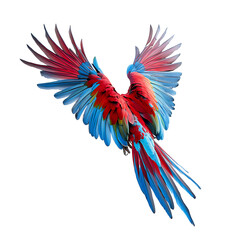 Fototapeta premium Beautiful red and blue macaw parrot flying isolated on white background.PNG