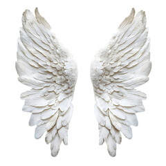 Angelic White Wings  Heavenly Feathers  Spiritual Symbol  Religious Art  Purity  Hope  Fai