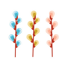 A collection of willow branches. Spring willow branch, Easter twigs, willow.
