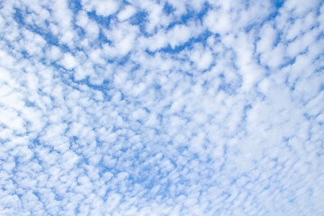 Cirrocumulus clouds against a blue sky