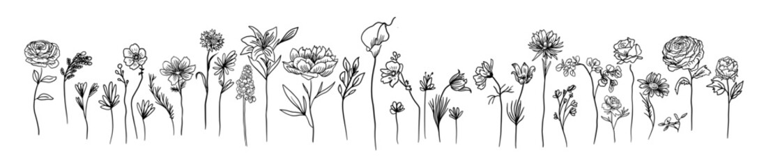 Flower set continuous outline style. Decoration flower, botanical floral element, blossom one line art for wedding, spring concept background. hand drawing. Not AI, Vector illustration.