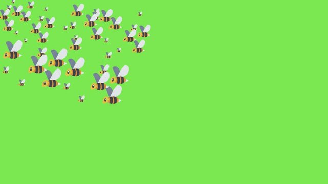 Bee flying green screen video 