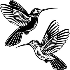 Obraz premium Set Of Hummingbird Silhouette Vector Illustration 